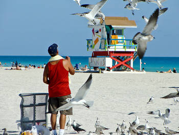 Haulover Beach Spy Cam - The best Miami beaches â€“ Somos Orlando Florida